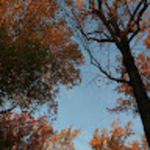 Meet your Posher, Annika